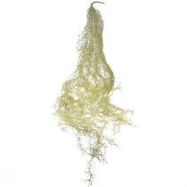 kohteita Tillandsia koristeriippuva Tillandsia keinotekoinen vihreä valkoinen 180cm