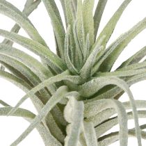 kohteita Tillandsia meheviä keinovihreitä kasveja 13cm