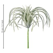 kohteita Tillandsia meheviä keinovihreitä kasveja 13cm