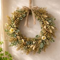 kohteita Kuivatut kukat Broom Bloom Olive Green 160g 48cm