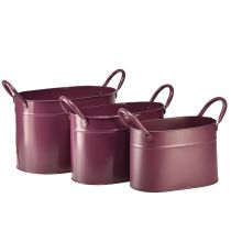 kohteita Istutuskone metallinen soikea ruukku violetti 24/21/18cm 3 kpl setti