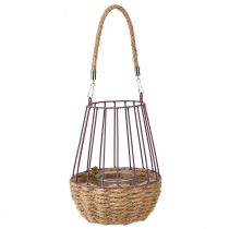 kohteita Lyhty kahvalla ja lasipurppura luonnon Ø18cm H22cm