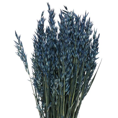 Kuivatut kukat, kaura kuivattu vilja koriste sininen 68cm 230g