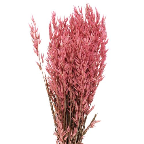 Kuivatut kukat, Kaura Kuivatut viljat Deco Pinkki 65cm 160g