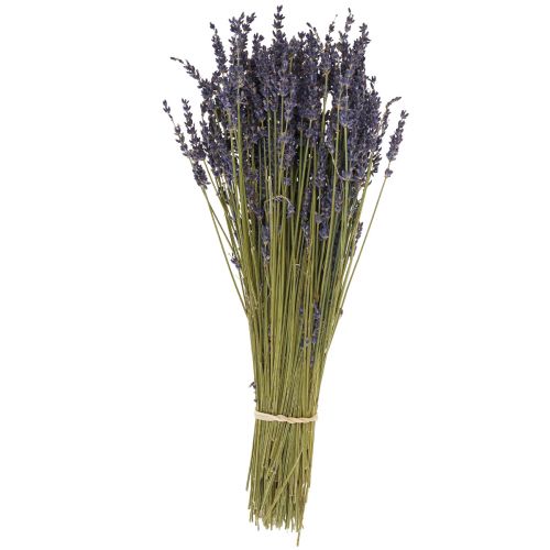 Floristik24 Kuivattu laventelikimppu, kuivattu kukka laventelinsininen 38-40cm 90g