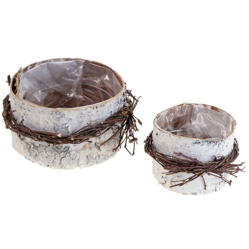 Istutuspuu koivu puu koivu ruukku valkoinen Ø11/16cm 2 kpl setti