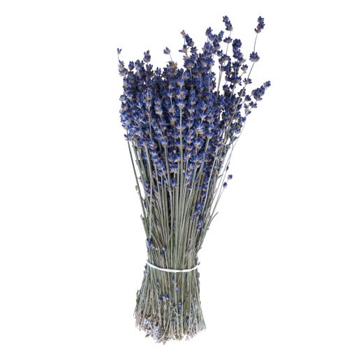 Kuivattu laventeli nippu kuivattu kukka sininen 25cm 75g