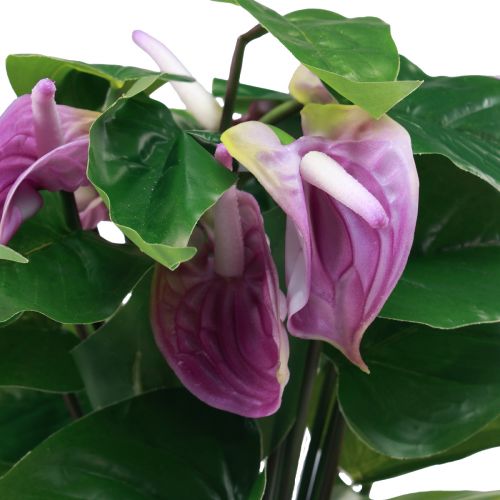 Floristik24 Tekokukat keinotekoiset anthurium tekokasvit ruukussa 41cm