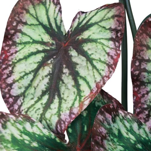 kohteita Begonia Keinotekoiset kasvit Lehti Begoniat Vihreä Purppura 62cm