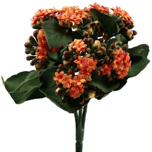 Floristik24 Flaming Käthchen Kalanchoe keinooranssi 24cm