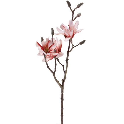 kohteita Magnoliaoksa Magnolia keinolohi 58cm