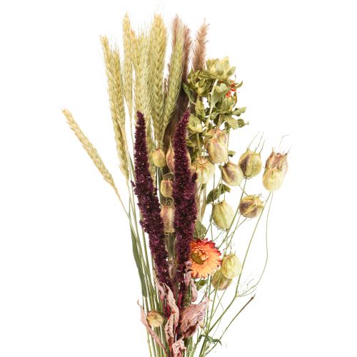 Kimppu kuivattuja kukkia olkikukkia oranssi purppura 55cm 70g