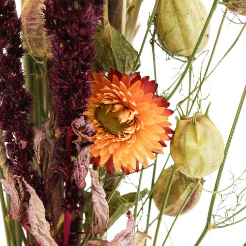Kimppu kuivattuja kukkia olkikukkia oranssi purppura 55cm 70g