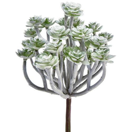kohteita Stonecrop Keinotekoiset mehikasvit Keinokasvit 16cm 4 kpl