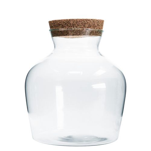 Floristik24 Koristelasi korkilla Koristemaljakko kirkas sipuli Ø20cm H21cm