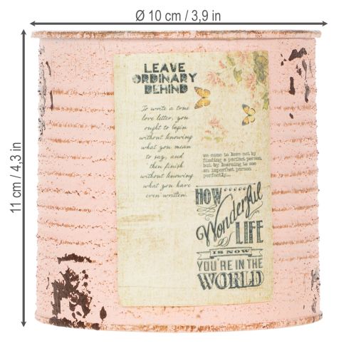 kohteita Kukkaruukku koristeellinen lohi metallinen kesäkoriste Ø11cm K10.5cm