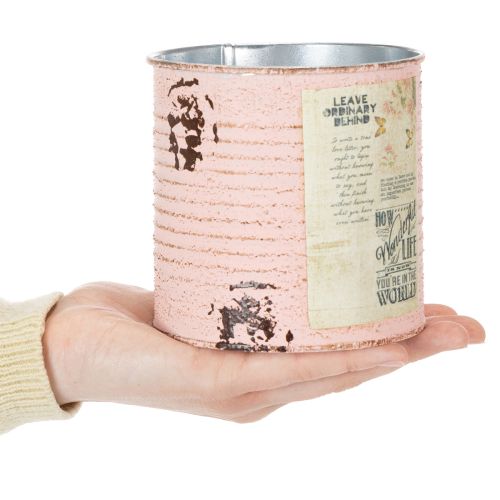 kohteita Kukkaruukku koristeellinen lohi metallinen kesäkoriste Ø11cm K10.5cm