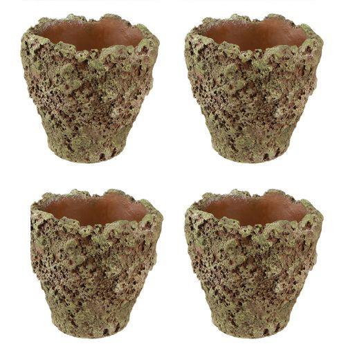 kohteita Istutusruukku maalaismainen istutussammaleen ilme Ø17cm K16,5cm 4kpl