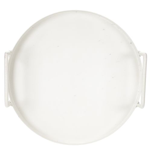 kohteita Kasvitarjotin monipuoliseen käyttöön kotona ja puutarhassa, 18 cm