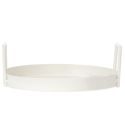 kohteita Kasvitarjotin monipuoliseen käyttöön kotona ja puutarhassa, 18 cm