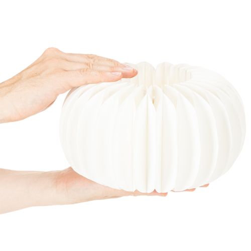 Hunajakennopaperista tehty pyöreä kurpitsarengas, iso, kuivakukkiin ja syyskoristeeseen, 24 cm, 4 kpl | Floristik24.fi