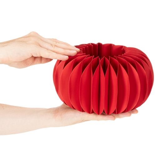 Paperikoriste hunajakenno paperikurpitsa pyöreä moderni pöytäkoriste 24cm 4kpl | Floristik24.fi