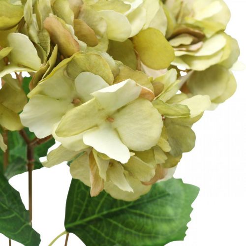 Floristik24 Hortensia kimppu keinovihreä, ruskea 5 kukkaa 48cm