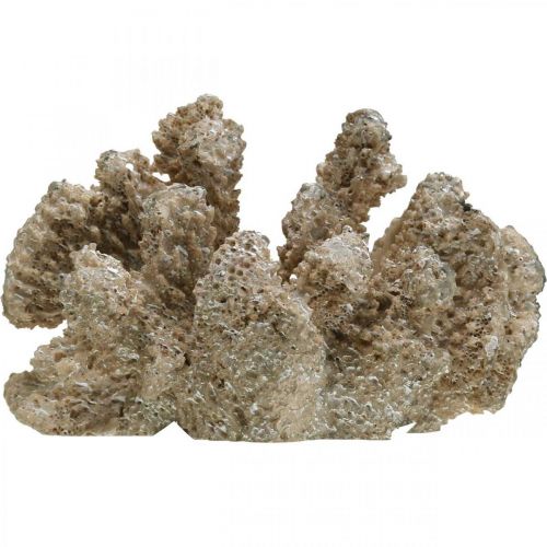 Floristik24 Merikoristelu, merieläin, koriste korallipolyresiini 13,5x11,5 cm