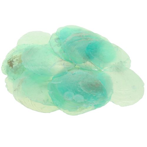 Capiz-kuoret, capiz-kiekot, helmiäislevyt turkoosi 6,5-9,5cm 650g