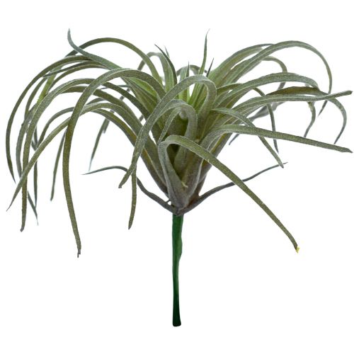 kohteita Tillandsia Succulent Artificial Green Plants 13cm