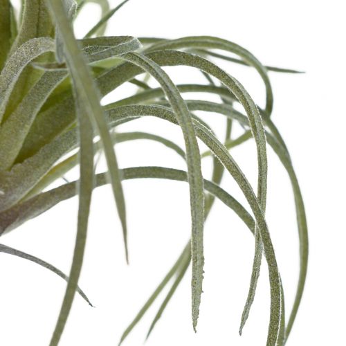 kohteita Tillandsia Succulent Artificial Green Plants 13cm