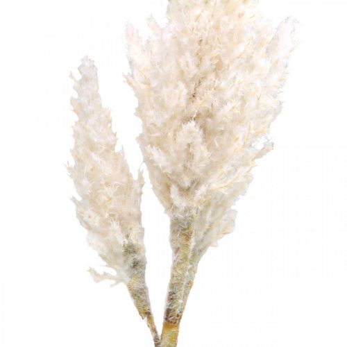 Pampasin ruoho valkoinen kerma keinotekoinen kuivanurmi koriste 82cm