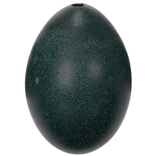 kohteita Emuei-koristeita juhlavaan kodin sisustukseen ja tyylikkäitä yksityiskohtia pääsiäiseen