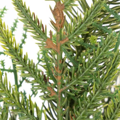 Keinotekoinen kuusenoksa juhlakoristeeseen, 22 cm, 2 kpl | Floristik24.fi
