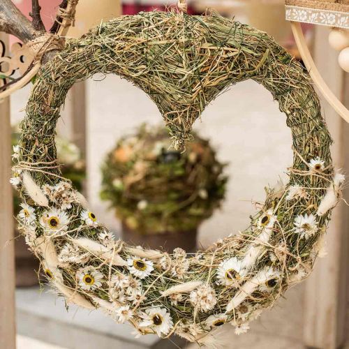 Floristik24 Acroclinium White, kuivat kasvit, olkikukat, kuiva kukkakauppa L20-40cm 25g