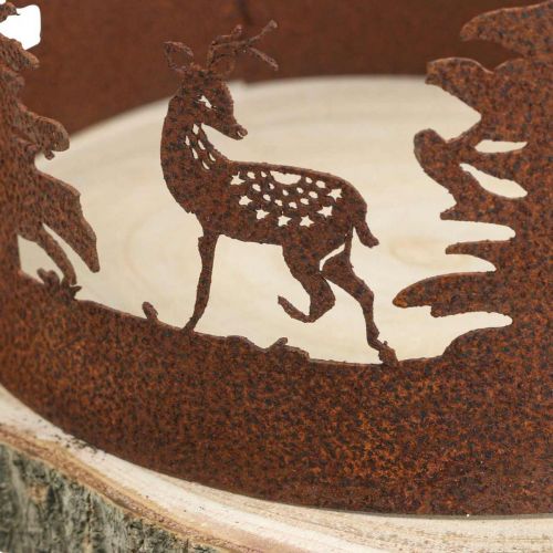 Floristik24 Deer Deco Forest Patina Deco Puunkuori Natural Ø25-27cm