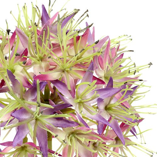kohteita Allium vaalean violetti L76cm