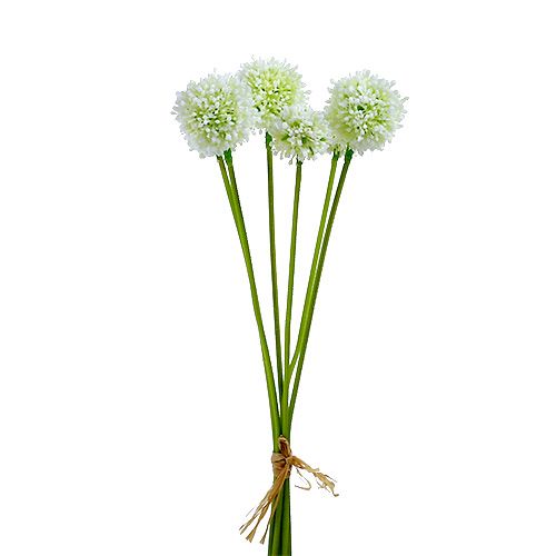Floristik24 Allium 35cm valkoinen 6kpl