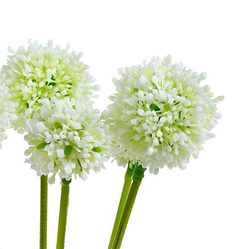 Floristik24 Allium 35cm valkoinen 6kpl