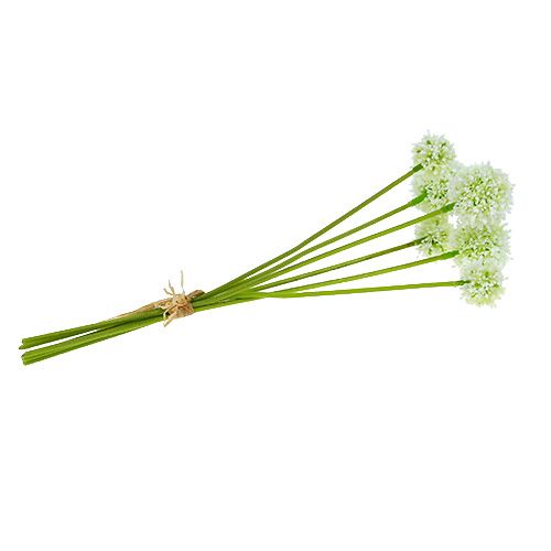 Floristik24 Allium 35cm valkoinen 6kpl