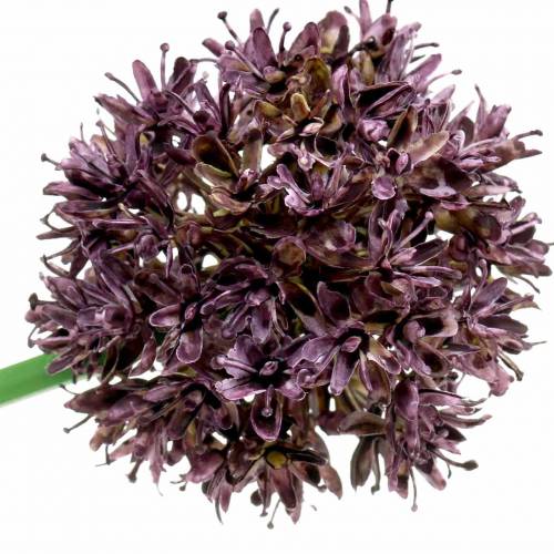 Floristik24 Koriste sipuli Allium keinotekoinen purppura Ø7cm K58cm 4kpl