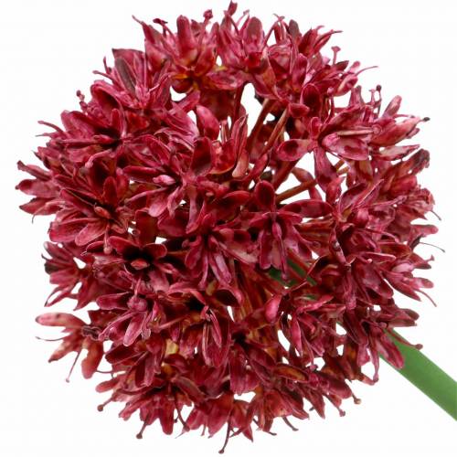 Floristik24 Koriste sipuli Allium keinonahka Ø7cm K58cm 4kpl
