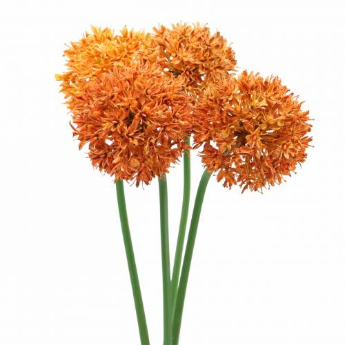Floristik24 Koriste sipuli Allium keinotekoinen oranssi Ø7cm K58cm 4kpl
