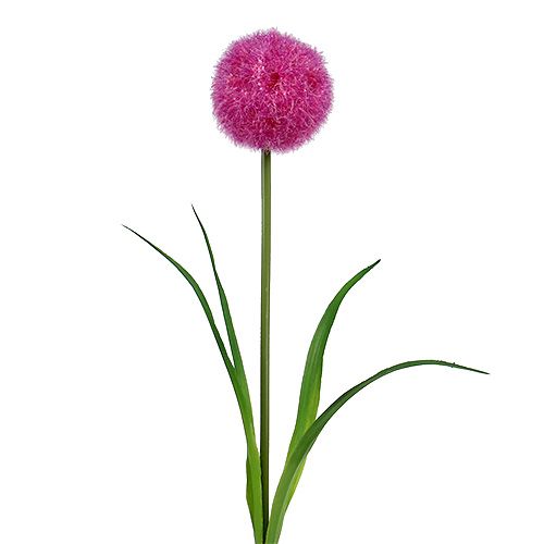 Floristik24 Allium 68cm vaaleanpunainen-violetti