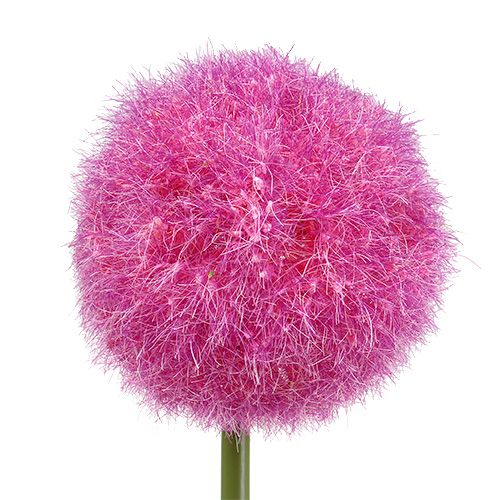 Floristik24 Allium 68cm vaaleanpunainen-violetti