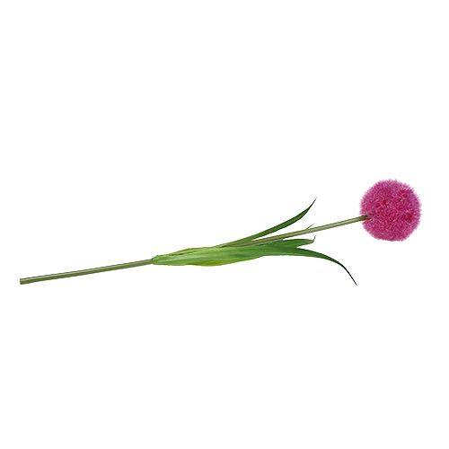 Floristik24 Allium 68cm vaaleanpunainen-violetti