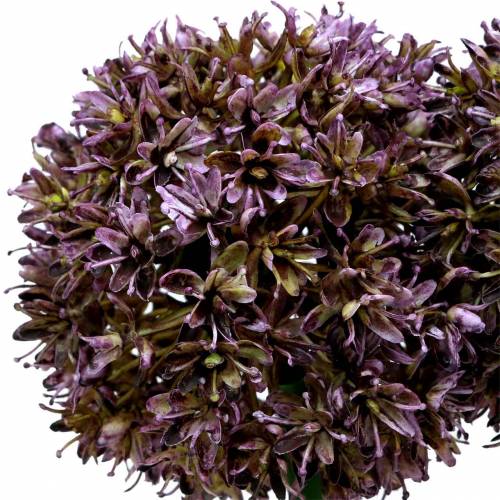 Floristik24 Koriste sipuli Allium keinotekoinen purppura 70cm 3kpl