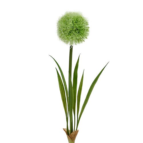 Floristik24 Allium vihreä L37,5cm 4kpl