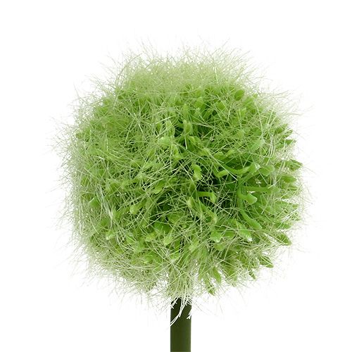 Floristik24 Allium vihreä L37,5cm 4kpl