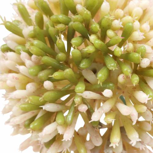 kohteita Koriste sipuli Allium keinotekoinen vaaleanpunainen / vihreä Ø8cm 58cm